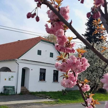 Fuszeres Porta Villa Mihalyfa Екстериор снимка