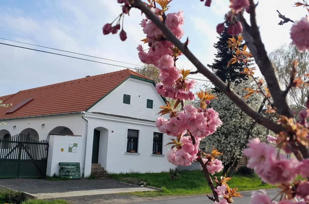 Fuszeres Porta Villa Mihalyfa Екстериор снимка